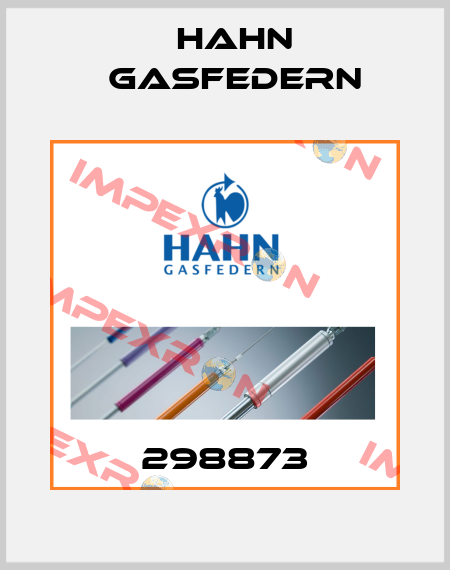 298873 Hahn Gasfedern