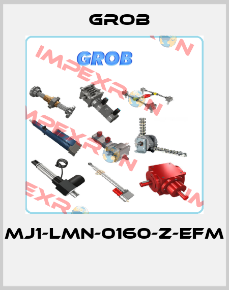 MJ1-LMN-0160-Z-EFM  Grob