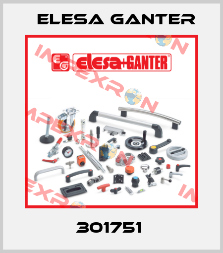 301751  Elesa Ganter