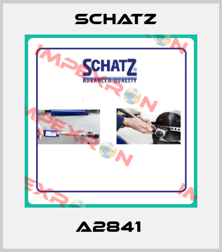 A2841  Schatz