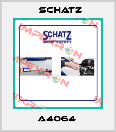 A4064  Schatz