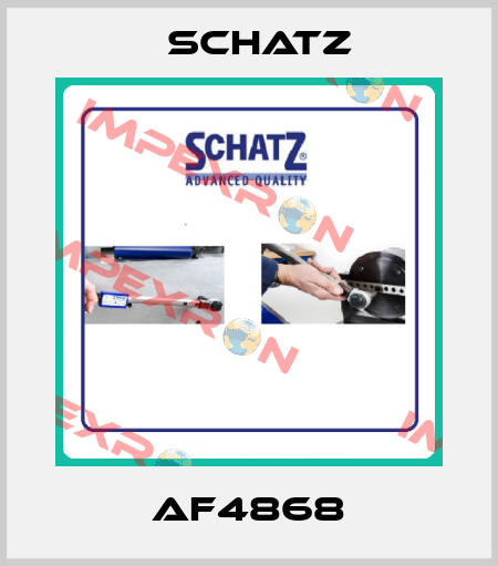 AF4868 Schatz