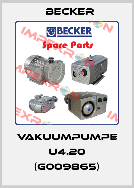 VAKUUMPUMPE U4.20 (G009865) Becker