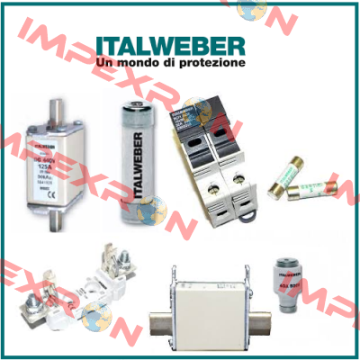 0100160  Italweber