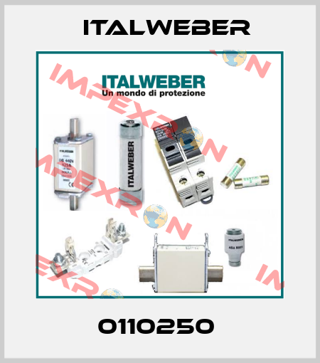 0110250  Italweber