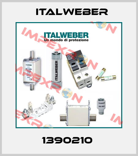 1390210  Italweber