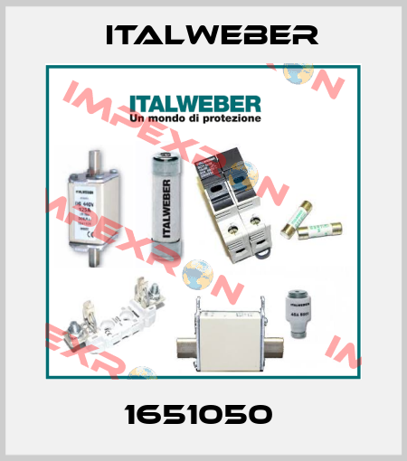 1651050  Italweber