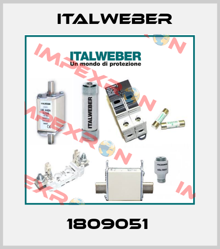 1809051  Italweber