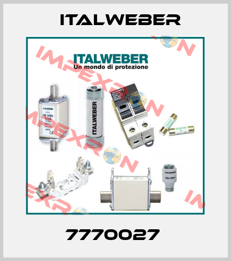 7770027  Italweber