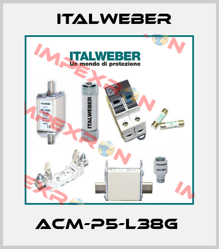 ACM-P5-L38G  Italweber
