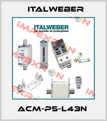 ACM-P5-L43N  Italweber