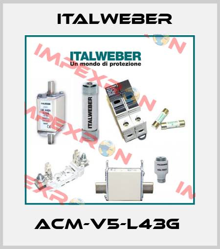 ACM-V5-L43G  Italweber