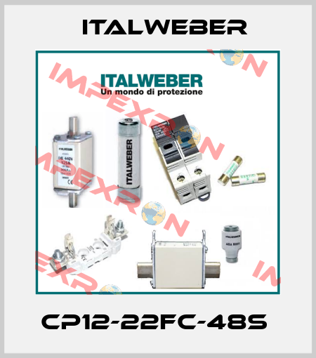 CP12-22FC-48S  Italweber