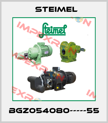 BGZ054080-----55 Steimel