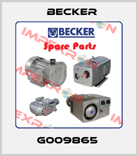 G009865  Becker