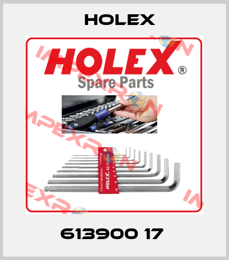 613900 17  Holex