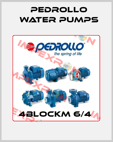 4BLOCKM 6/4  Pedrollo Water Pumps