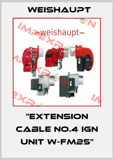 "Extension cable No.4 ign unit W-FM25" Weishaupt