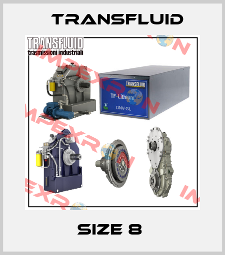 Size 8  Transfluid