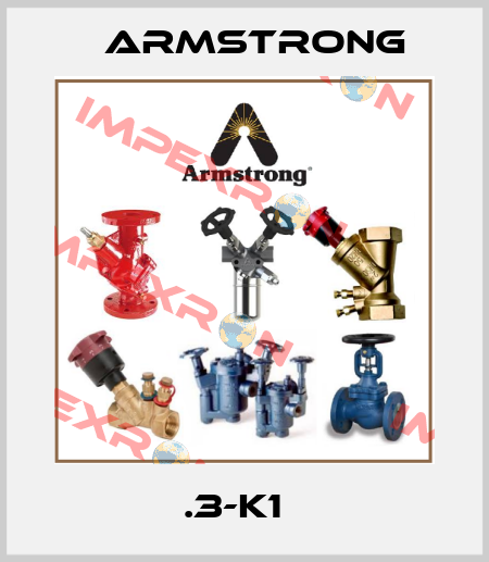 .3-K1   Armstrong