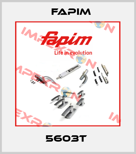 5603T  Fapim