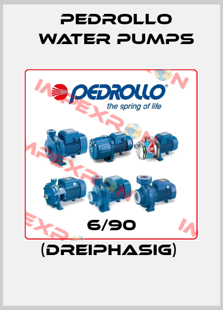 6/90 (DREIPHASIG)  Pedrollo Water Pumps