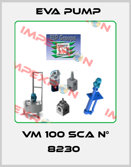 VM 100 SCA N° 8230  Eva pump