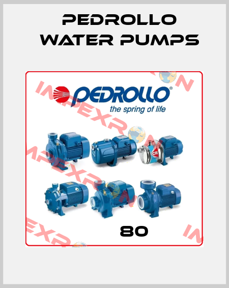 ３ＣＲｍ80  Pedrollo Water Pumps