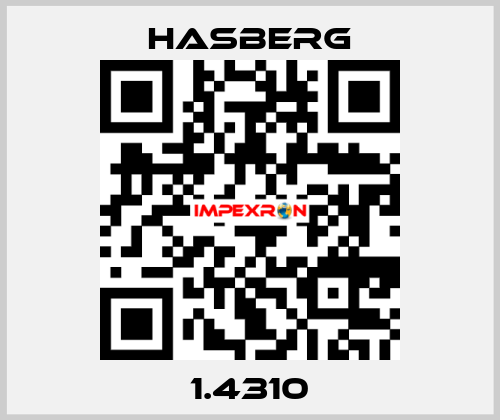 1.4310  Hasberg