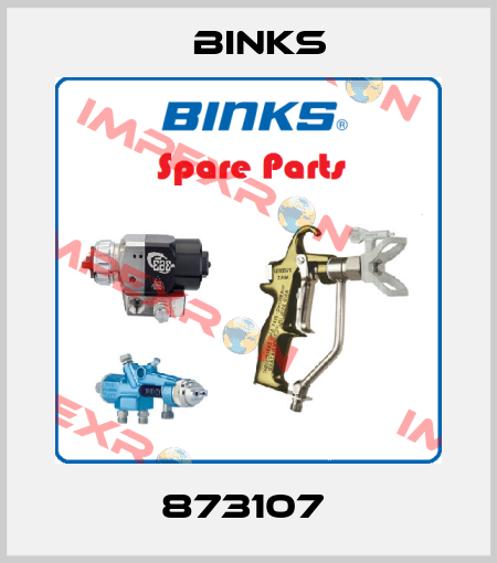 873107  Binks