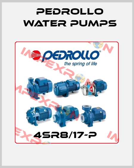 4SR8/17-P  Pedrollo Water Pumps