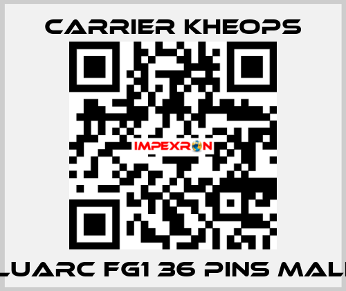 Fluarc FG1 36 Pins Male  Carrier Kheops