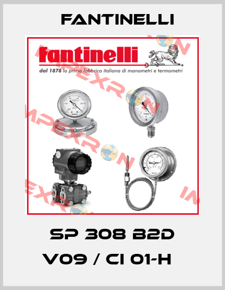 SP 308 B2D V09 / CI 01-H   Fantinelli