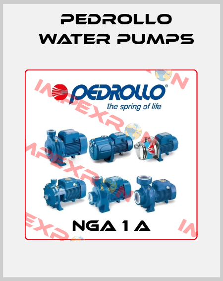 NGA 1 A Pedrollo Water Pumps