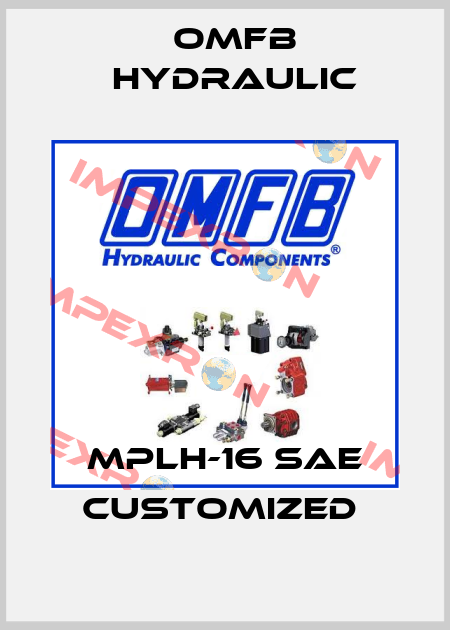 MPLH-16 SAE customized  OMFB Hydraulic