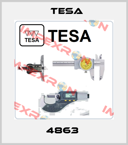 4863  Tesa