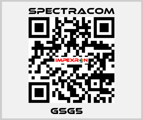 GSG5　  SPECTRACOM