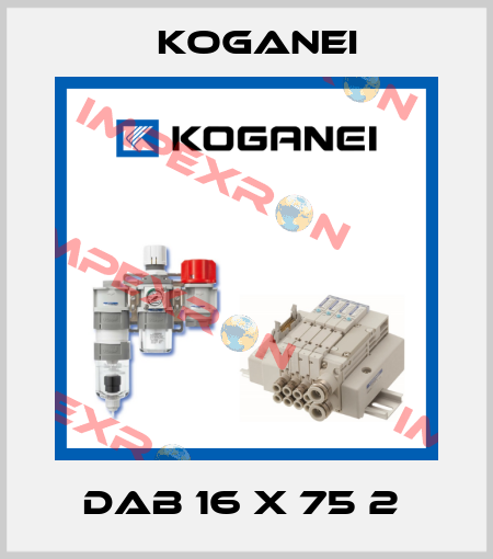 DAB 16 X 75 2  Koganei