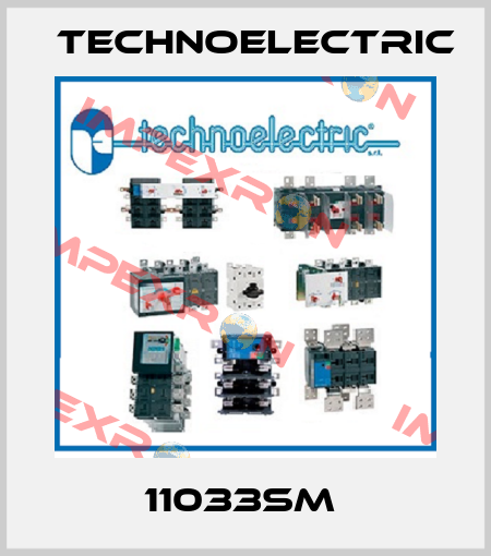11033SM  Technoelectric