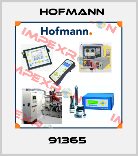 91365  Hofmann
