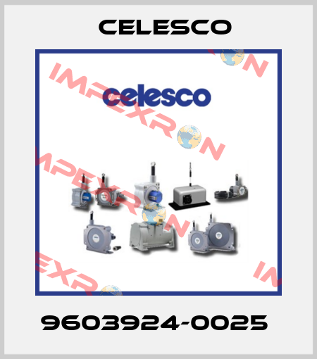 9603924-0025  Celesco
