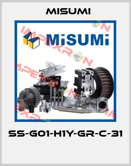 SS-G01-H1Y-GR-C-31  Misumi