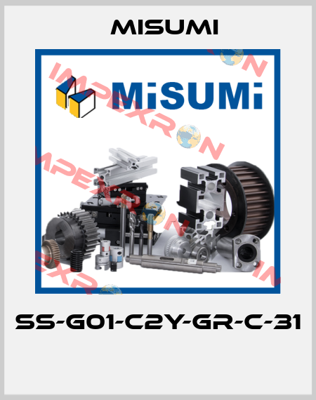 SS-G01-C2Y-GR-C-31  Misumi