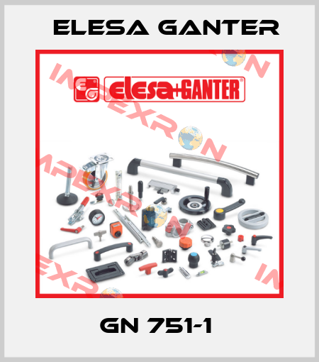 GN 751-1  Elesa Ganter