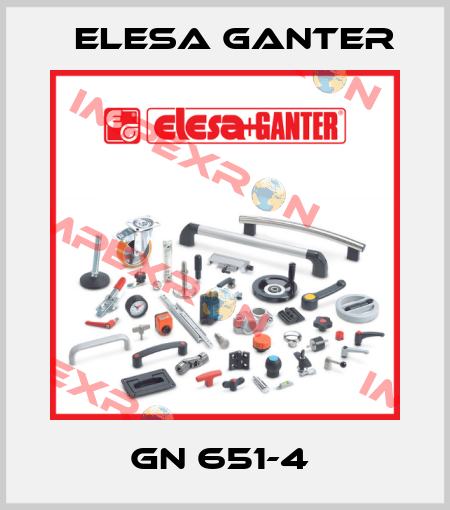 GN 651-4  Elesa Ganter