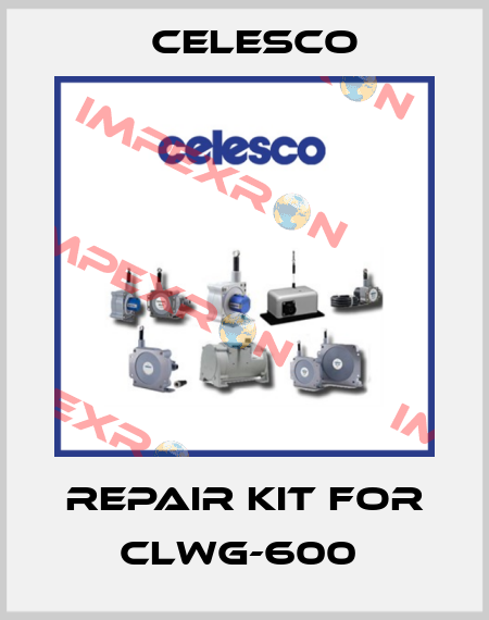 REPAIR KIT FOR CLWG-600  Celesco