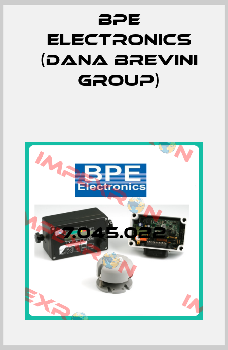 7.045.022 BPE Electronics (Dana Brevini Group)