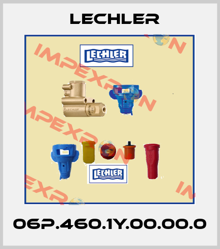 06P.460.1Y.00.00.0 Lechler