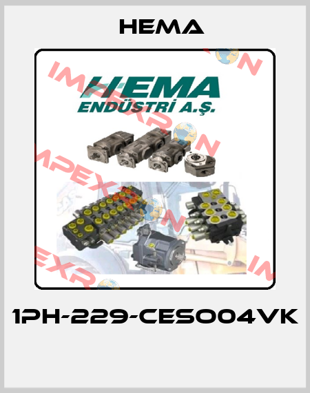 1PH-229-CESO04VK  Hema