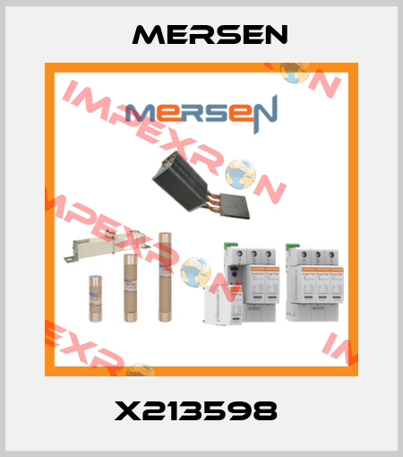X213598  Mersen
